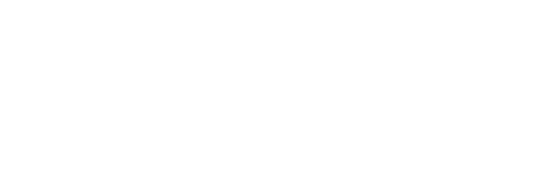 Savjetnici za imigraciju s licencom vlade - od 1996